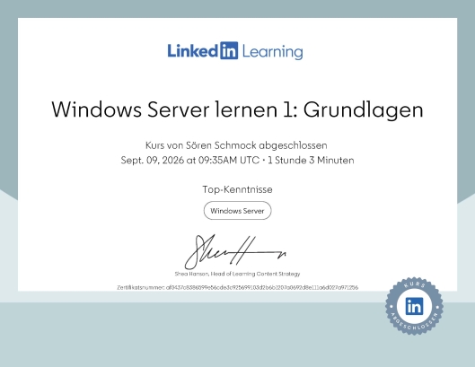 Windows Server lernen 1: Grundlagen
